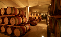 An image of barrel cellar